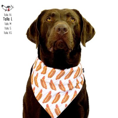 FRANK - Imagen 2