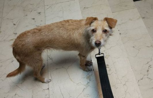 29497684_10216173414353922_5747361908532182063_n