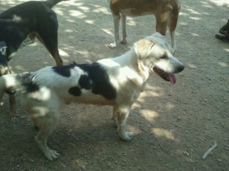 IMG-20140924-WA0025 (Small)