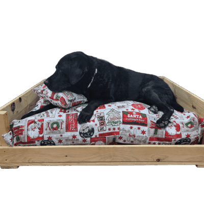 Cama de Navidad para perro o gato · Edición Limitada