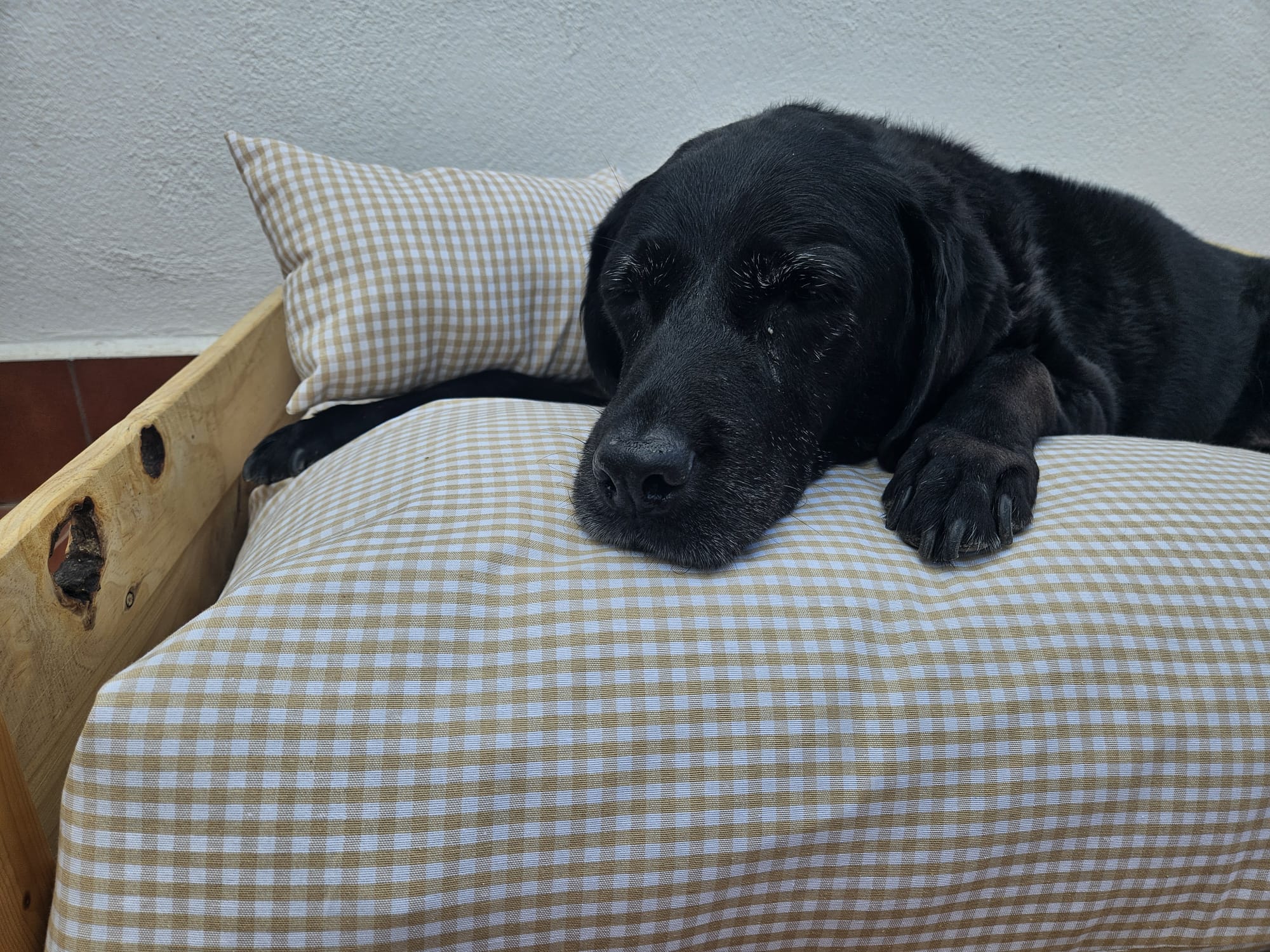 CAMA CUADROS VICHY BEIGE - Imagen 4