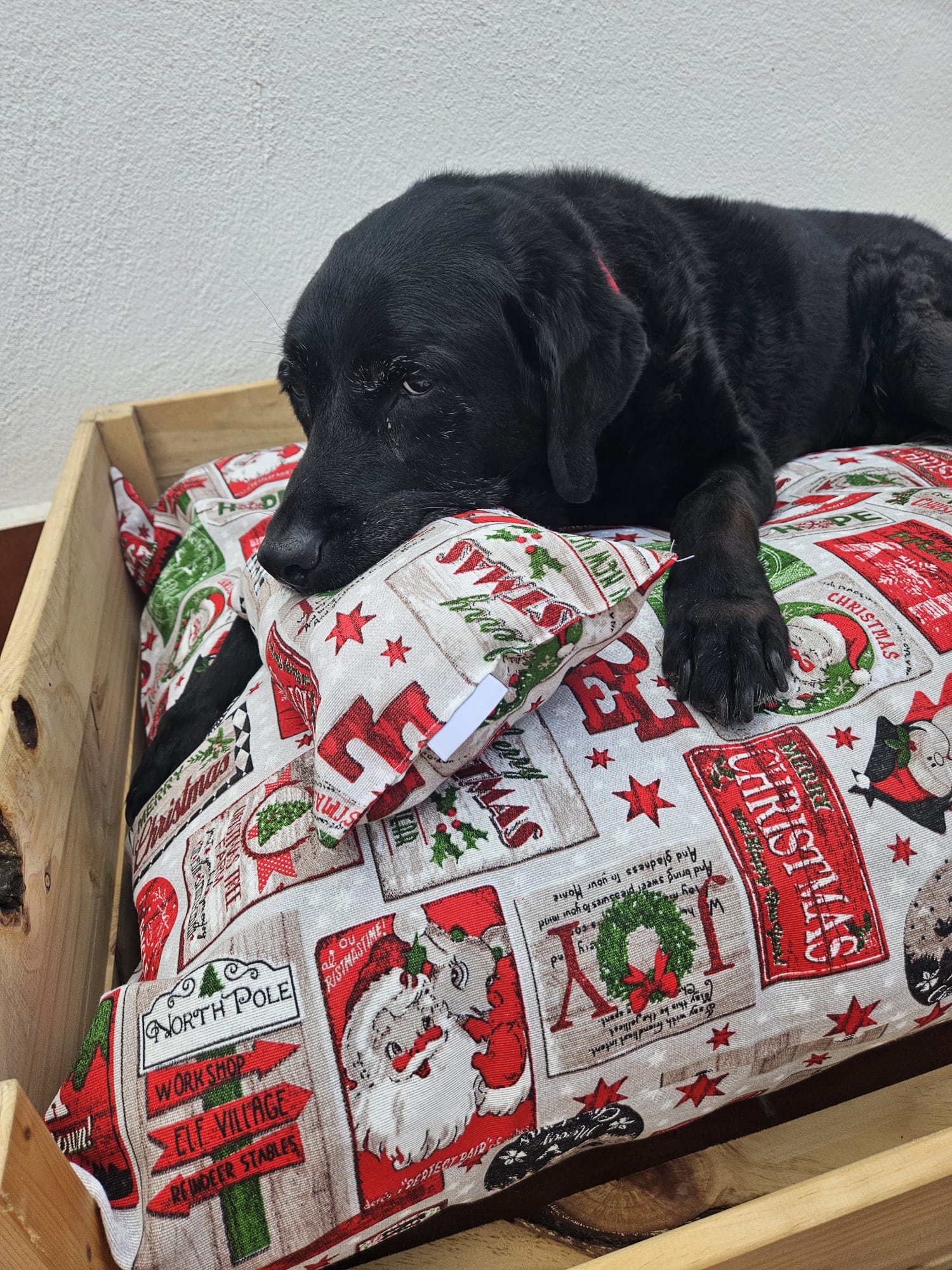 Funda Navidad (estampado 2025) para cama de perro o gato + cojín - Imagen 4